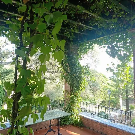 Chalet Aracenilla 7