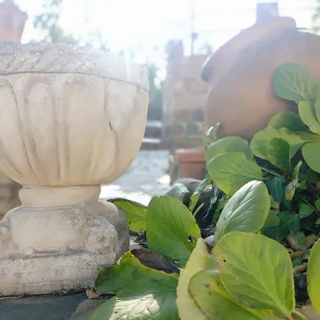 Aracenilla 7 Aracena