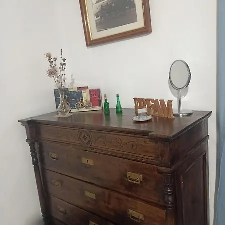 Aracenilla 7
