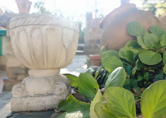 Aracenilla 7 Aracena